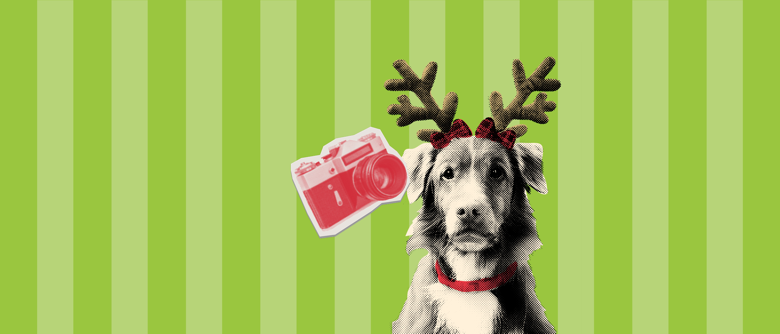 Pet Photos with Santa 